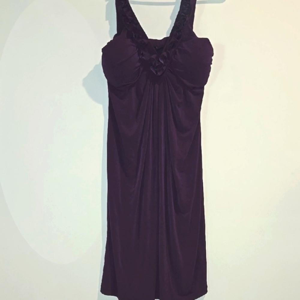 Enfocus Studio Purple Mini Dress